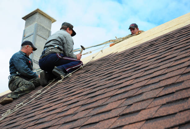 Tile Roofing Contractor in Bayboro, NC